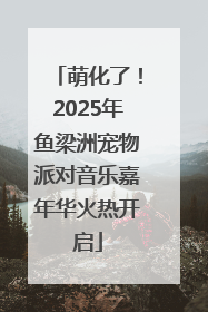 萌化了！2025年鱼梁洲宠物派对音乐嘉年华火热开启